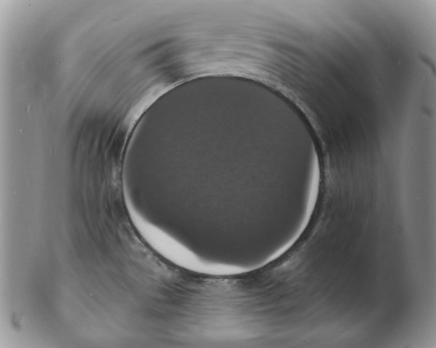 X0000102231529200808221256