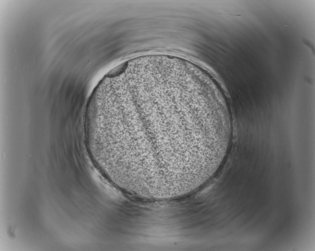 X0000102231530200808221257