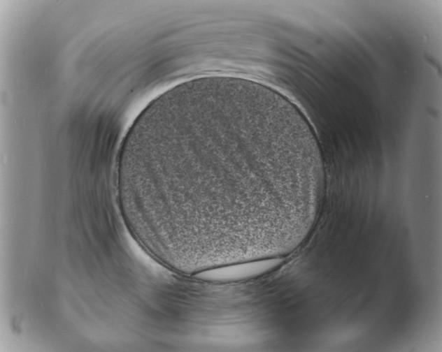 X0000102231531200808221257