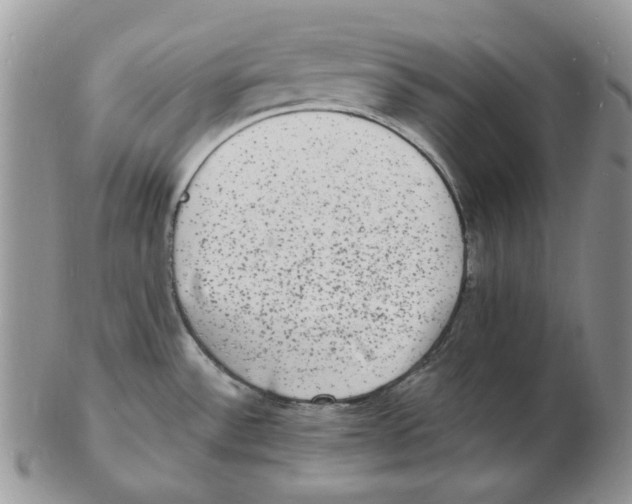 X0000102231532200808221257