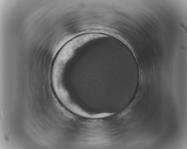 X0000102231533200808221257