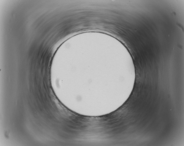 X0000102231534200808221257