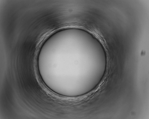 X0000102240001200807250849