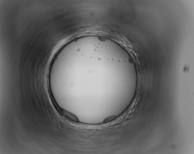 X0000102240003200807250849