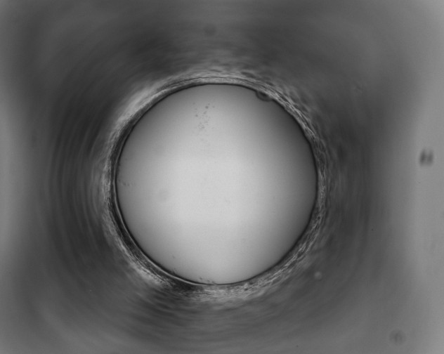 X0000102240005200807250848