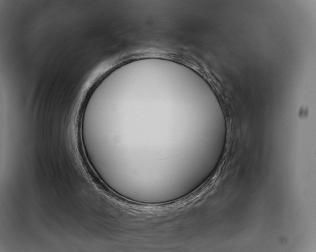 X0000102240006200807250848