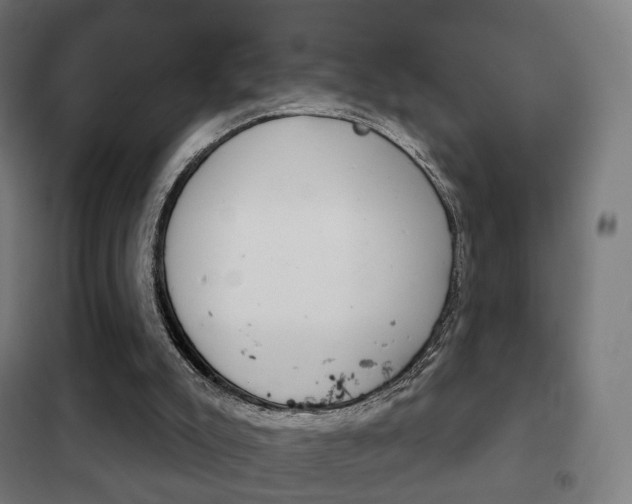 X0000102240007200807250848