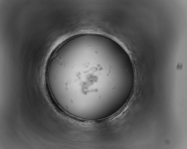 X0000102240008200807250848