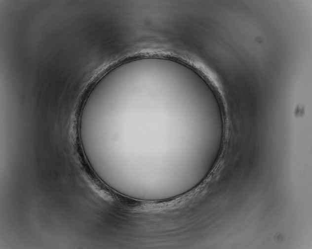 X0000102240009200807250848