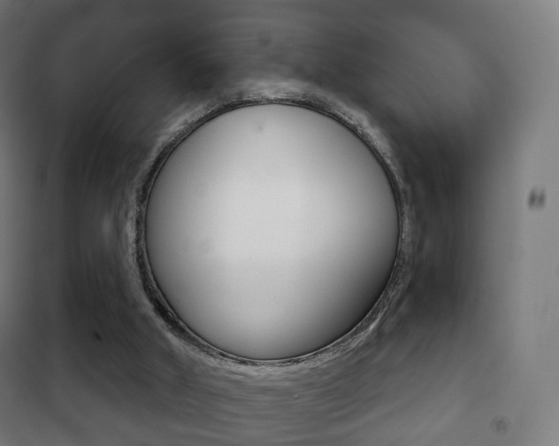 X0000102240010200807250848