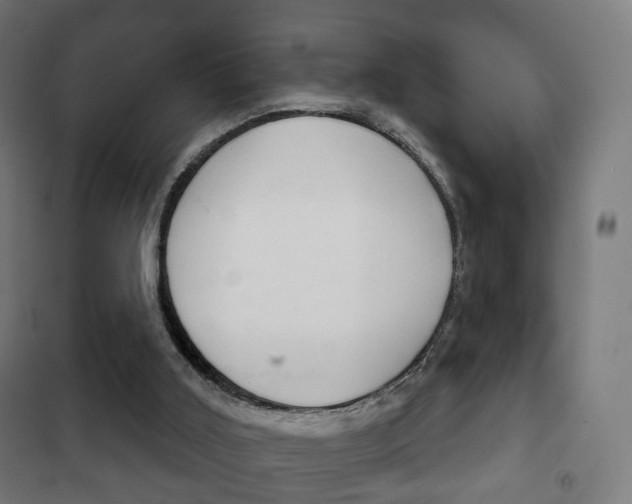 X0000102240011200807250848