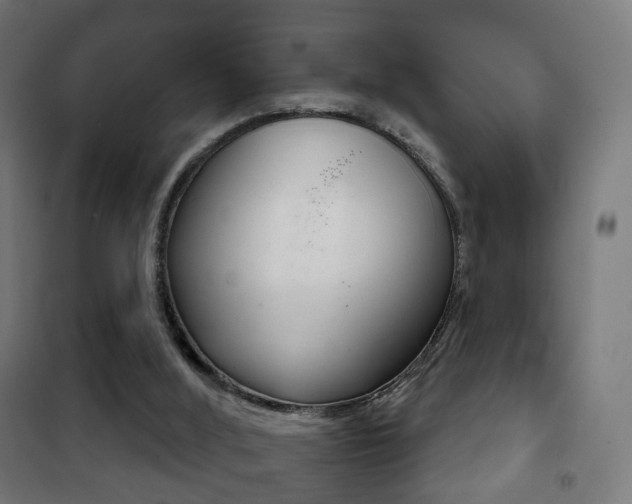 X0000102240012200807250848