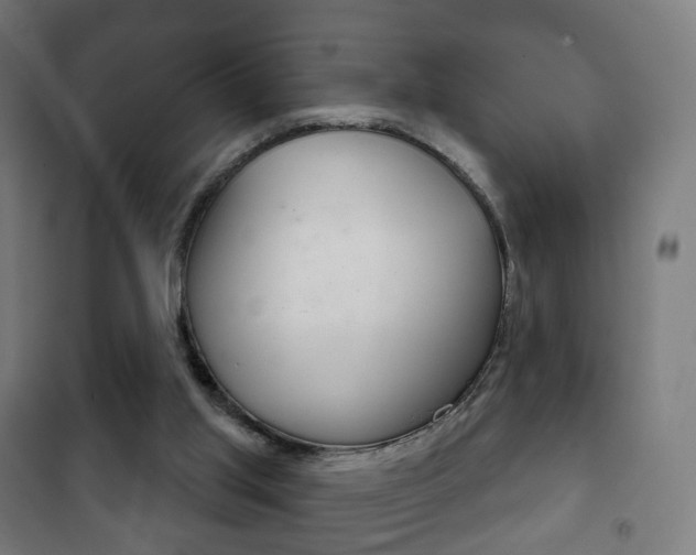 X0000102240013200807250848