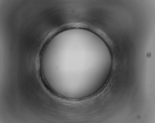 X0000102240014200807250848