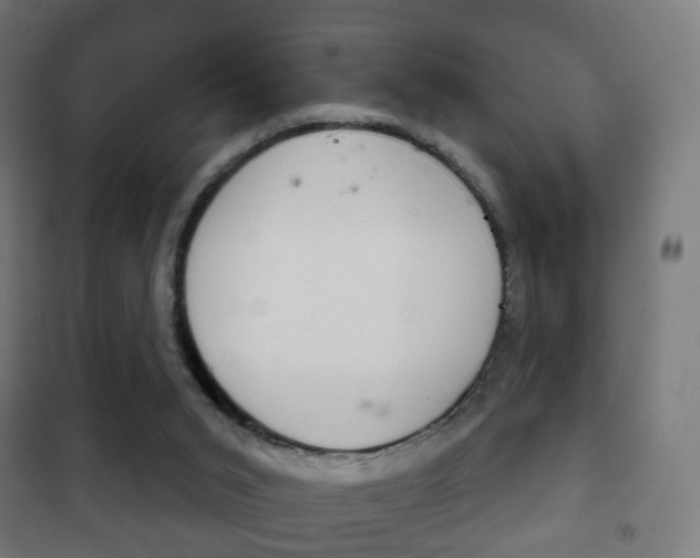 X0000102240015200807250848