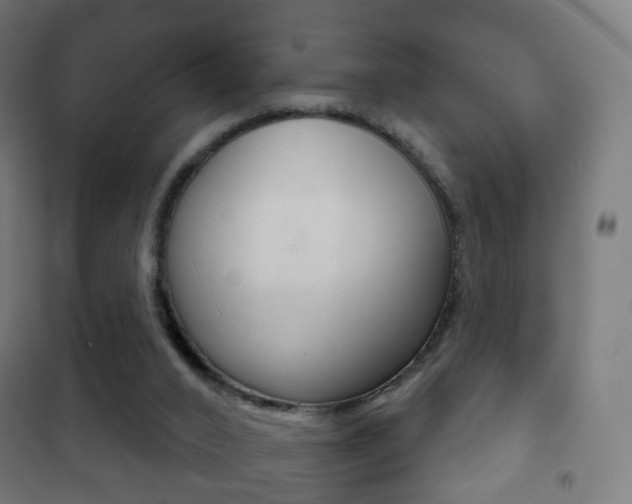 X0000102240016200807250848