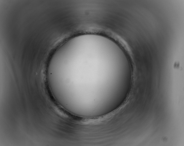 X0000102240017200807250848