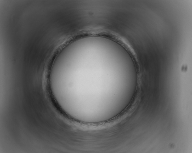 X0000102240018200807250848