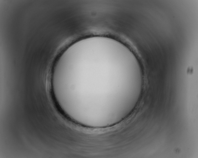 X0000102240019200807250848