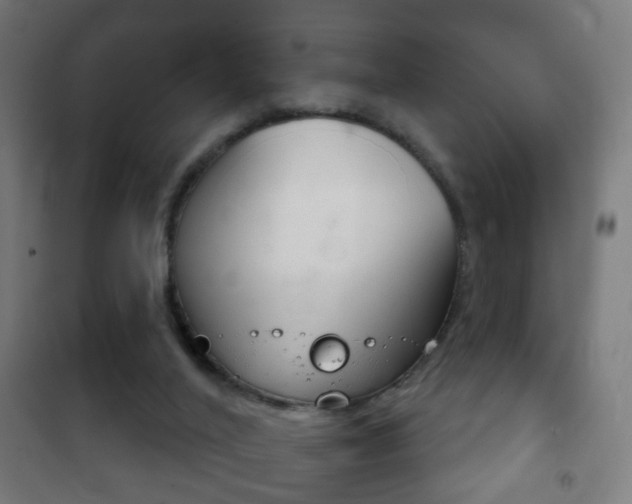 X0000102240020200807250848