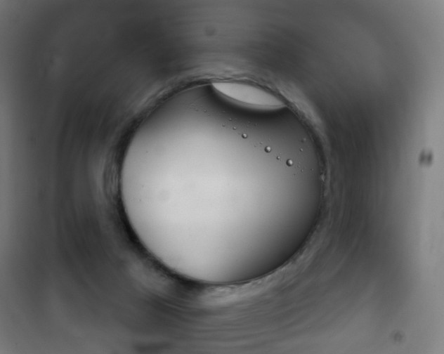 X0000102240021200807250848