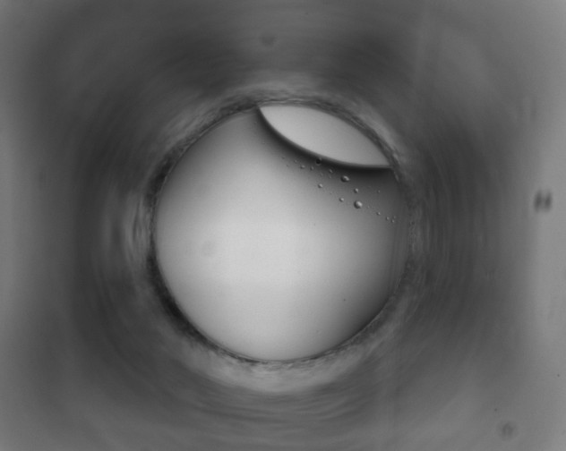 X0000102240022200807250848