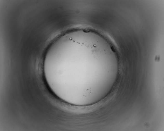 X0000102240023200807250848