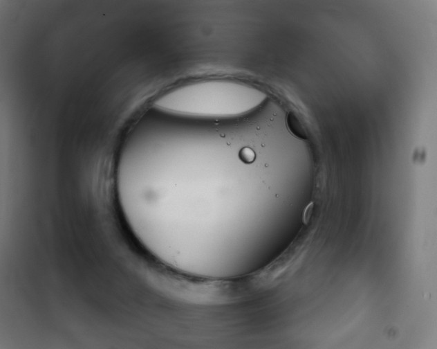X0000102240024200807250848