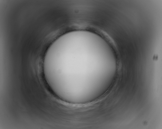 X0000102240026200807250848