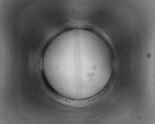 X0000102240027200807250848
