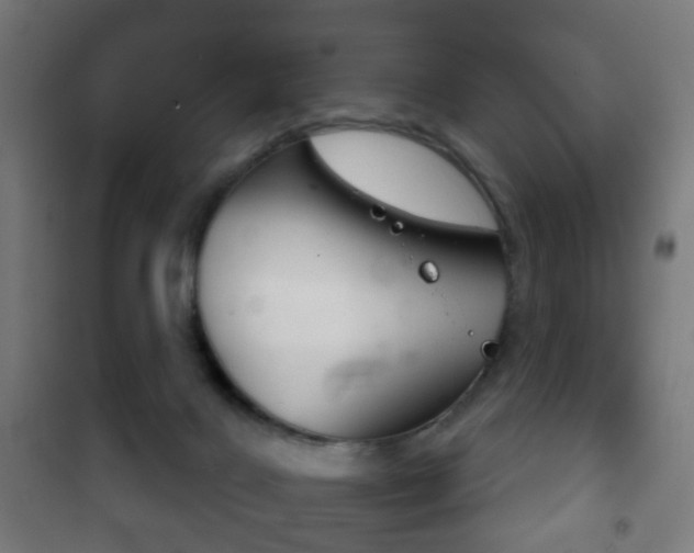 X0000102240028200807250848