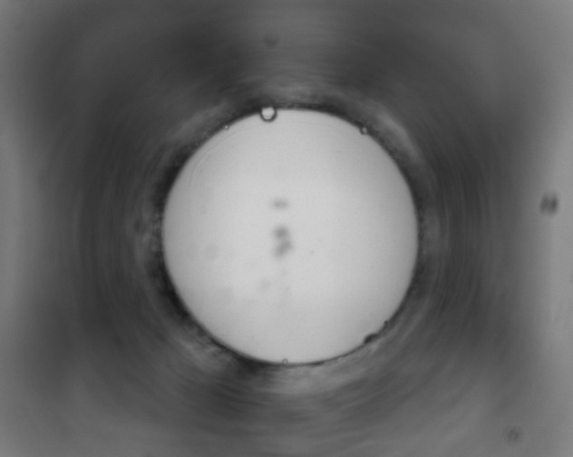 X0000102240029200807250848