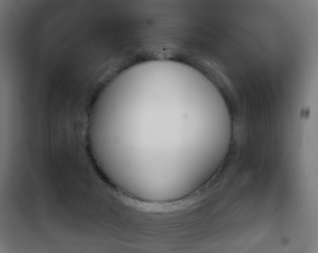 X0000102240030200807250848