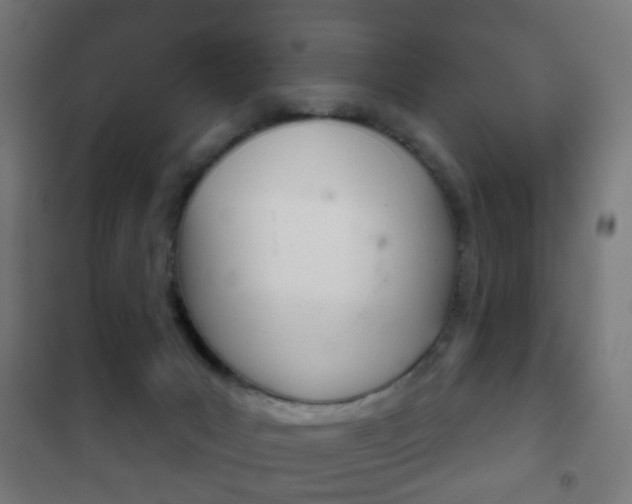 X0000102240031200807250848