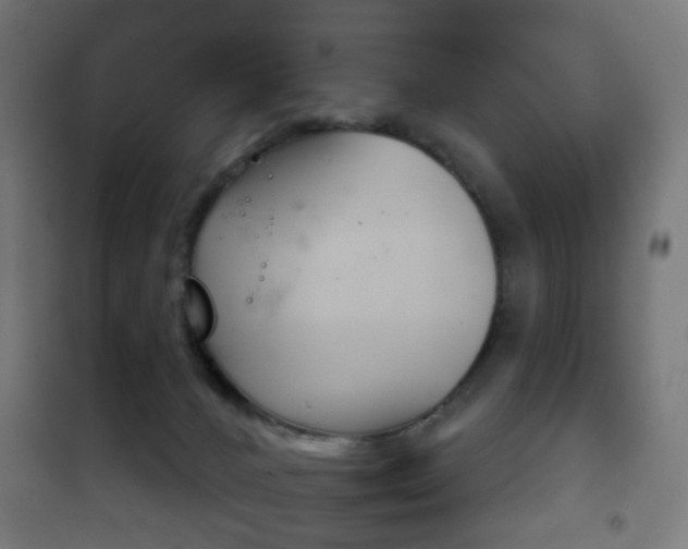 X0000102240032200807250848