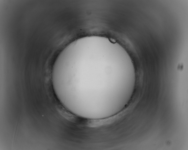 X0000102240033200807250848