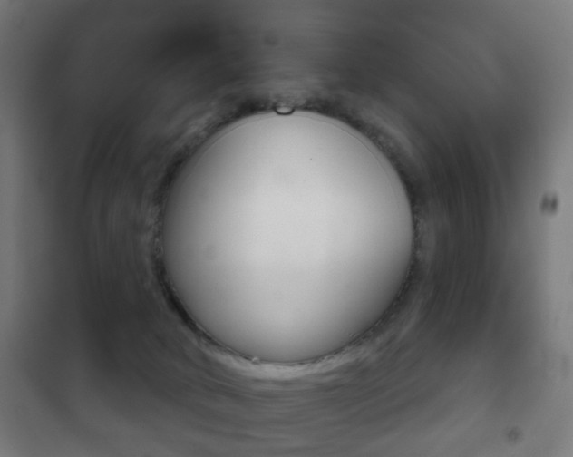 X0000102240034200807250848