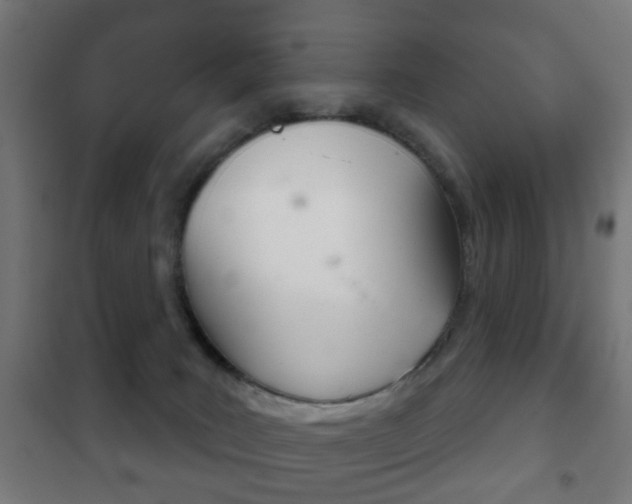 X0000102240035200807250848