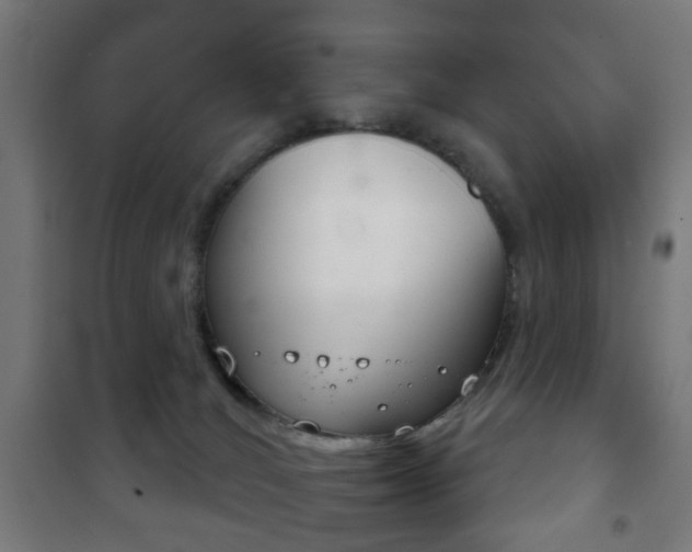 X0000102240036200807250848
