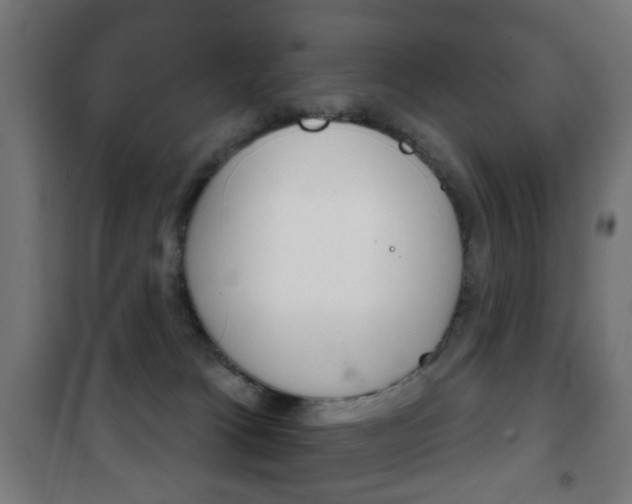 X0000102240037200807250848