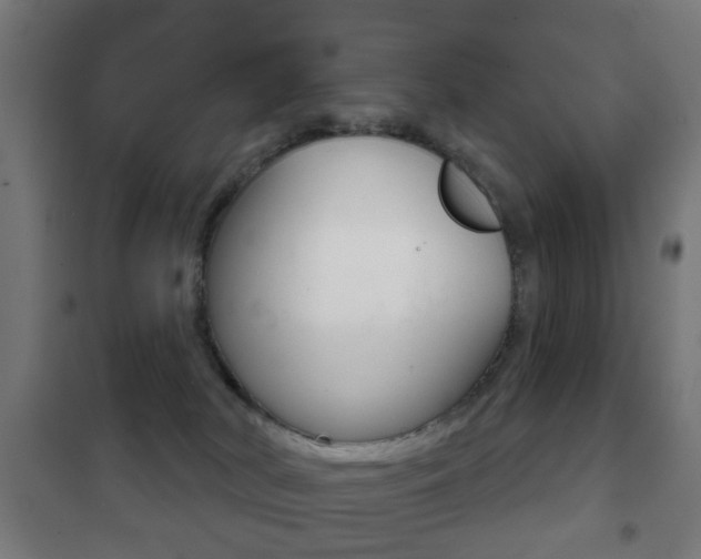 X0000102240038200807250848