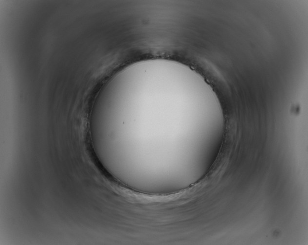 X0000102240039200807250848