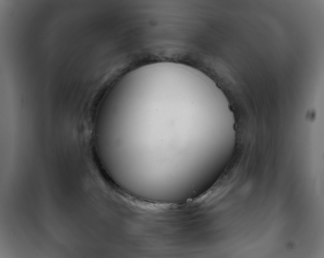 X0000102240040200807250848