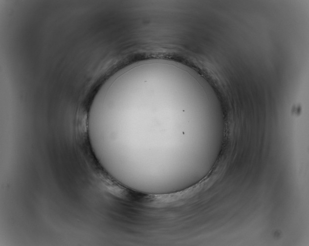 X0000102240041200807250848