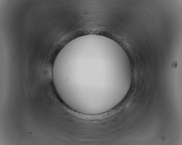 X0000102240042200807250848
