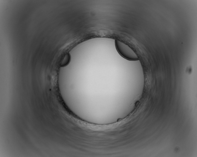 X0000102240043200807250848