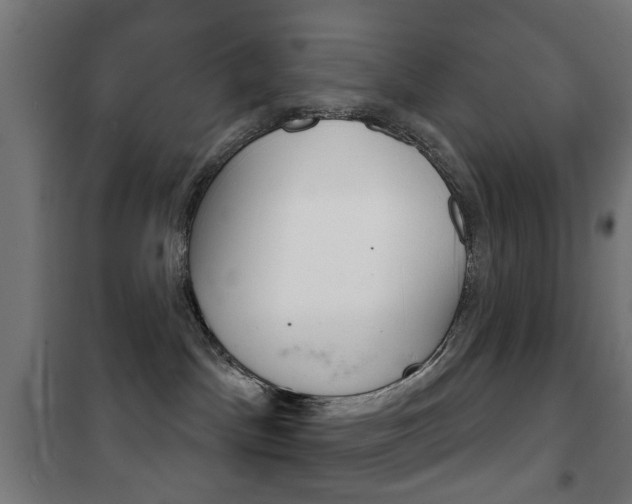 X0000102240045200807250848