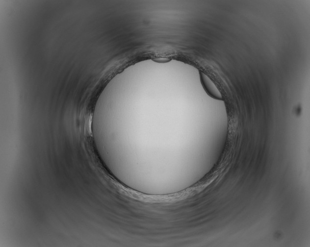 X0000102240046200807250848