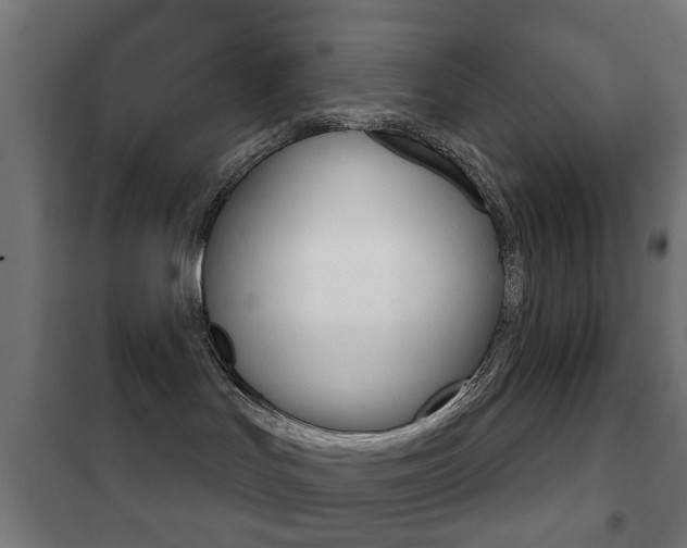 X0000102240047200807250848