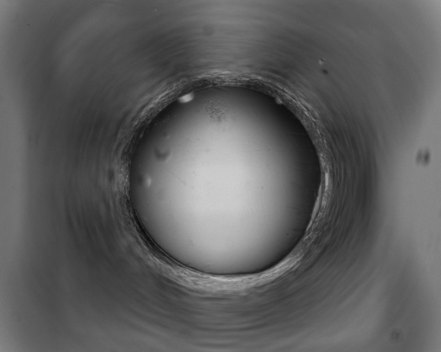 X0000102240048200807250848